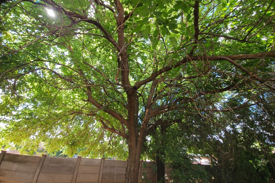 5 Bedroom Property for Sale in Universitas Free State